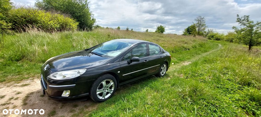 Peugeot 407 2.0 SV Executive - 1