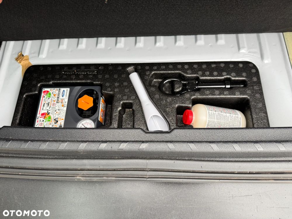 Ford EcoSport 1.0 EcoBoost ACTIVE - 19