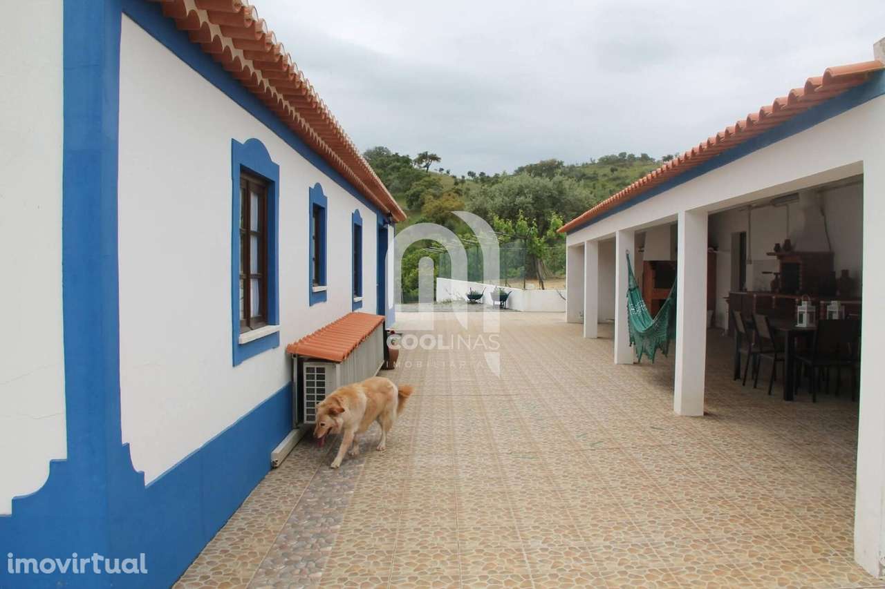 Quinta em Monte Alentejano - Grande imagem: 3/47