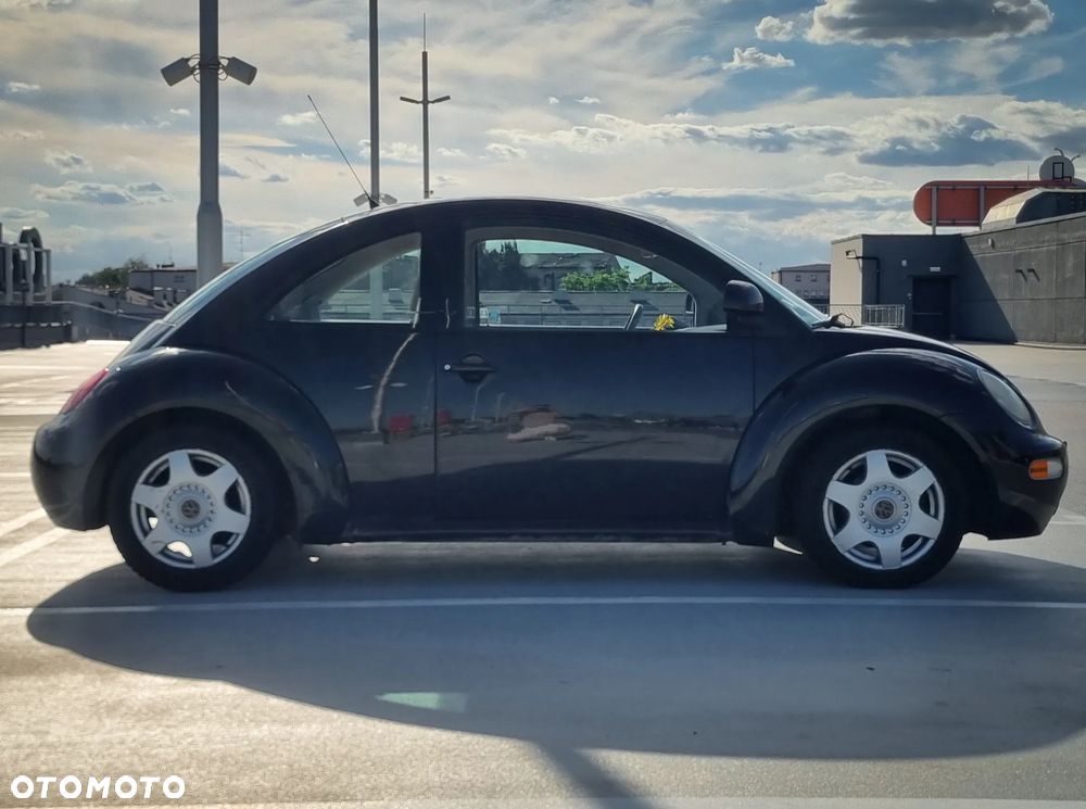 Volkswagen Beetle - 11