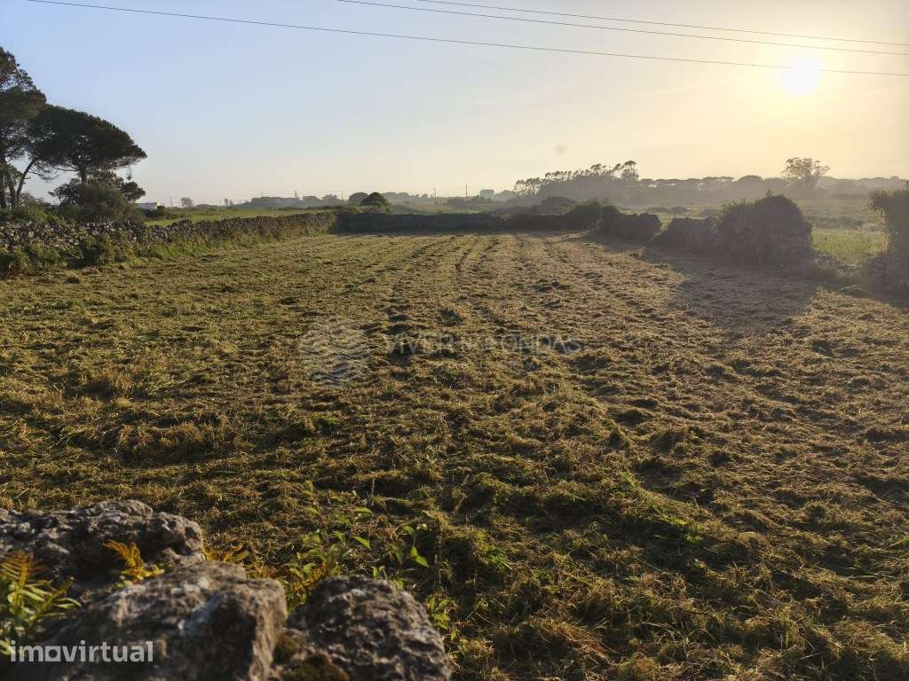Terreno Rústico com 1.280 m² em Zona Tranquila a 1 km de Alfaquiques - Grande imagem: 3/7