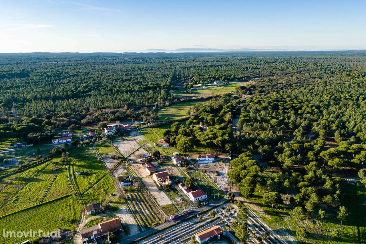 Moradia T3 | Terreno 1760 m2 | 20 min das praias da costa alentejana - Grande imagem: 5/35