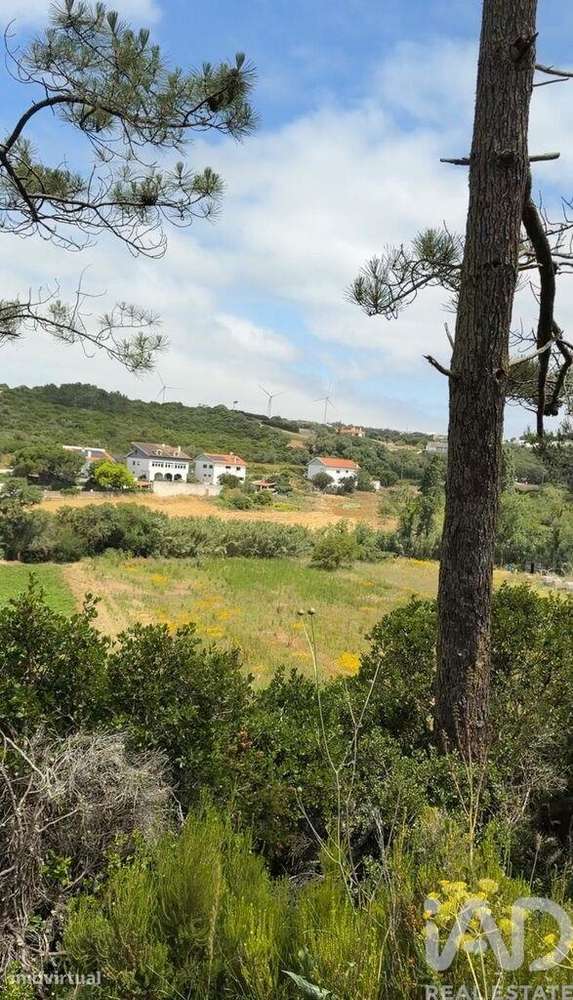 Terreno Agrícola em Santo Isidoro - Grande imagem: 2/5