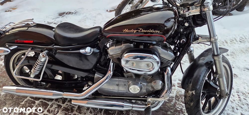 Harley-Davidson Sportster Custom 883C - 36