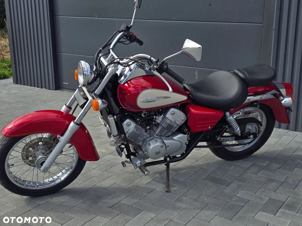 Honda Shadow - 4
