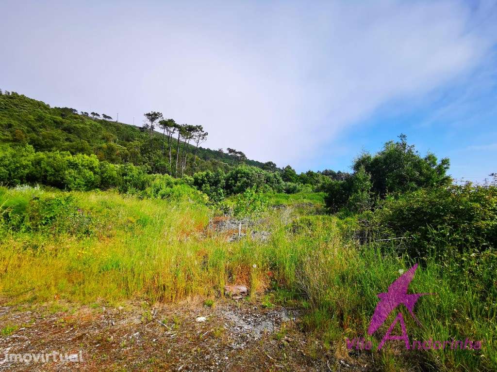 Terreno com 9670 m2 em Moledo - Grande imagem: 3/6