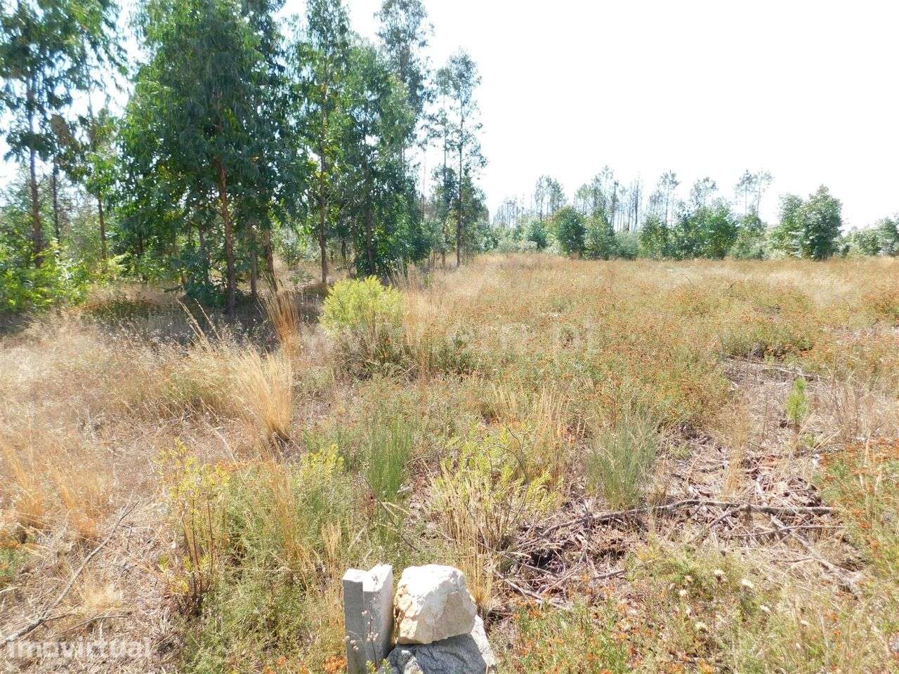 Terreno / Seia, Tourais - Grande imagem: 2/8