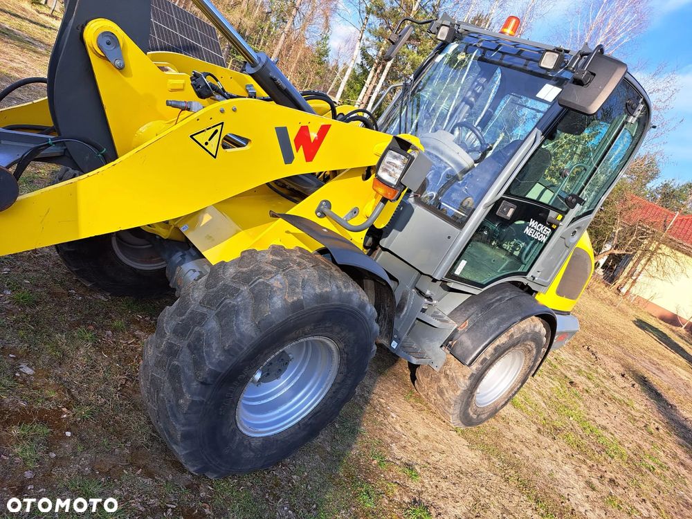 Wacker Neuson WL 52 - 5