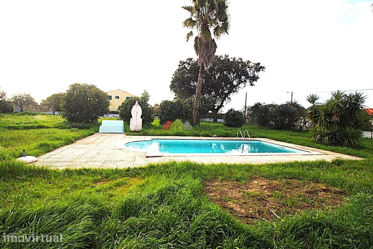 Moradia Independente T3+2 de piso único c/piscina – Glória do Ribatejo - Grande imagem: 3/44