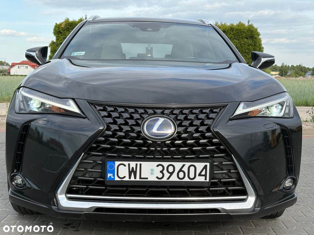 Lexus UX 250h GPF Business Edition 2WD - 7