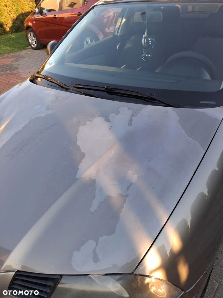 Seat Ibiza - 6
