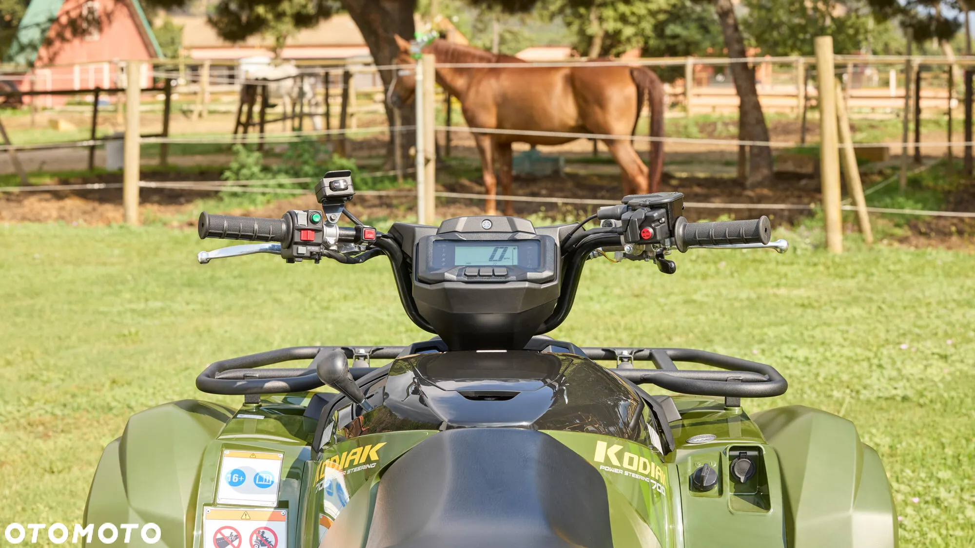 Yamaha Grizzly