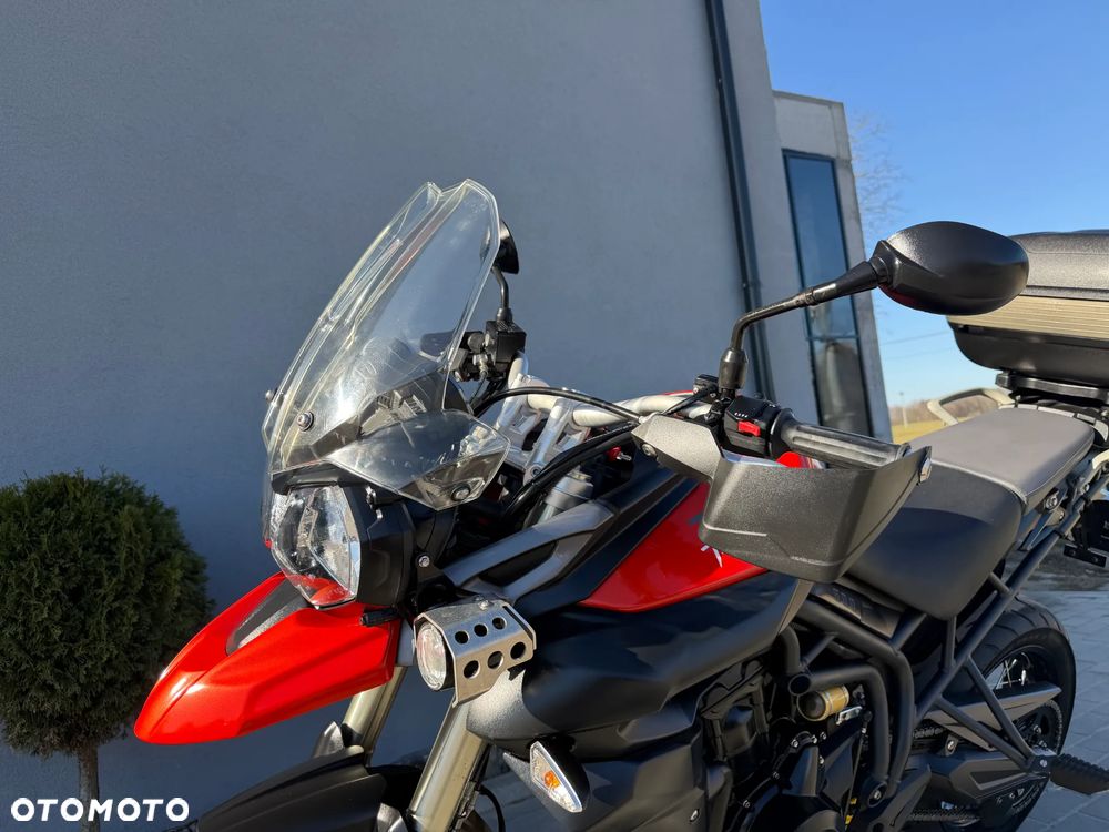 Triumph Tiger - 38