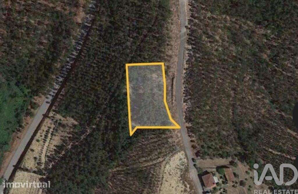 Terreno Agrícola em Mortágua, Vale de Remígio, Cortegaça e Almaça - Grande imagem: 2/7