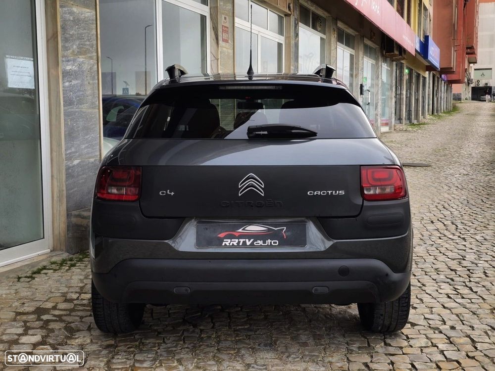 Citroën C4 Cactus 1.6 BlueHDi Feel - 13