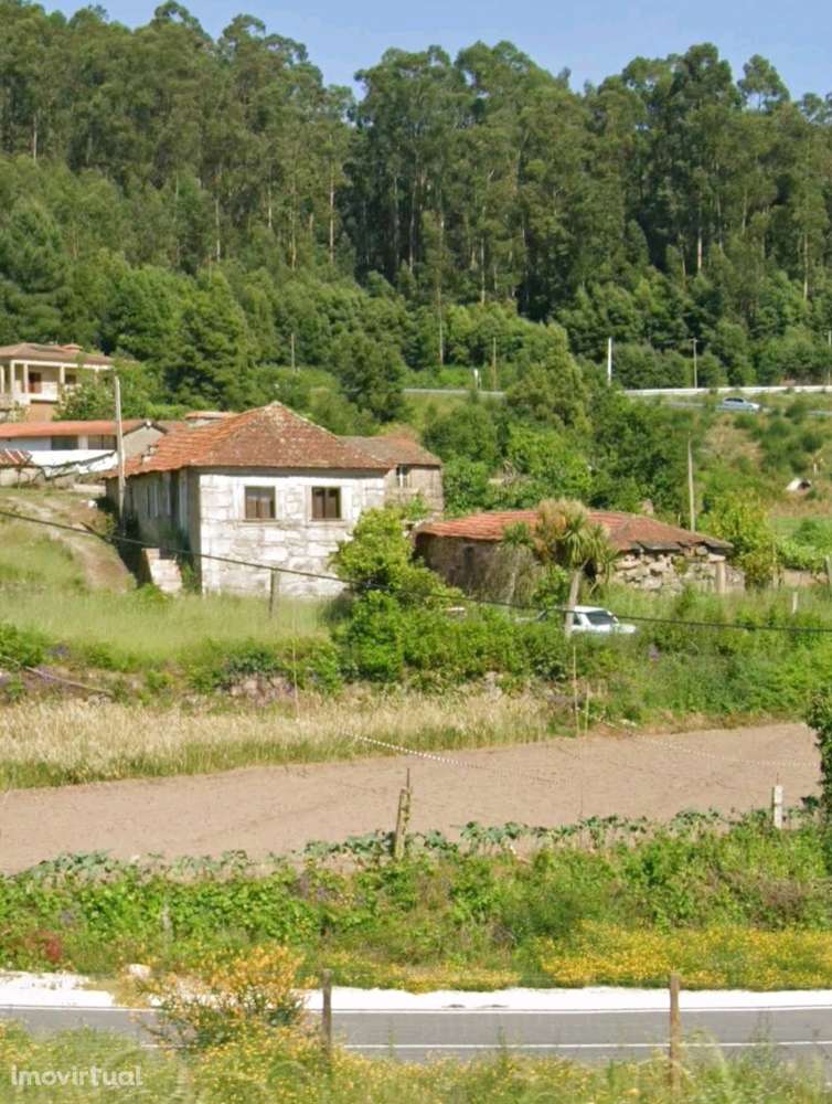 Quinta Tradicional com Vista de Campo em Penafiel - Grande imagem: 3/13