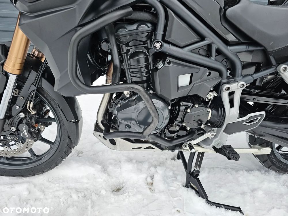 Triumph Tiger - 24