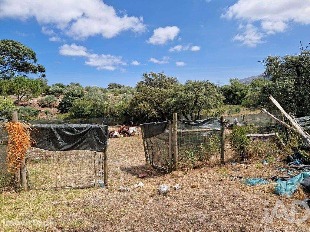 Terreno em Alvados e Alcaria de 3040,00 m2 - Grande imagem: 2/21
