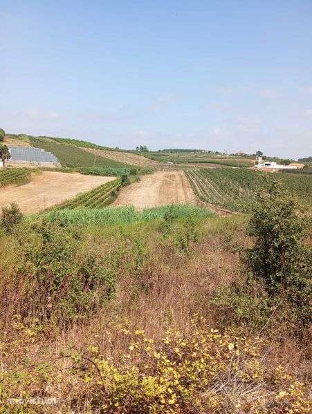 Terreno agrícola - Grande imagem: 4/6