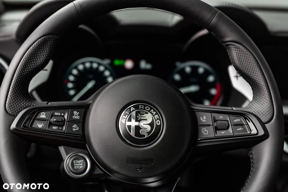 Alfa Romeo Stelvio 2.0 Turbo Veloce Q4 - 36