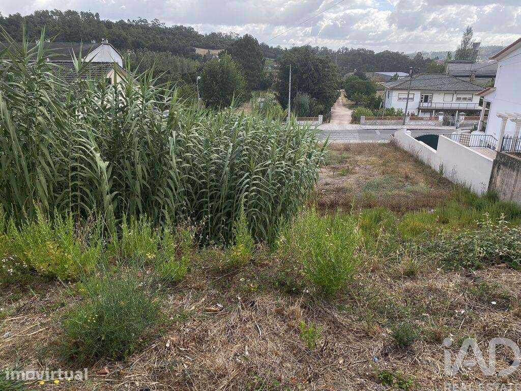 Terreno para construção em Nossa Senhora da Piedade de 400,00 m2 - Grande imagem: 3/7