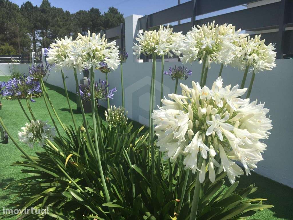 Moradia independente T3 Oleiros Azeitão - Grande imagem: 4/56