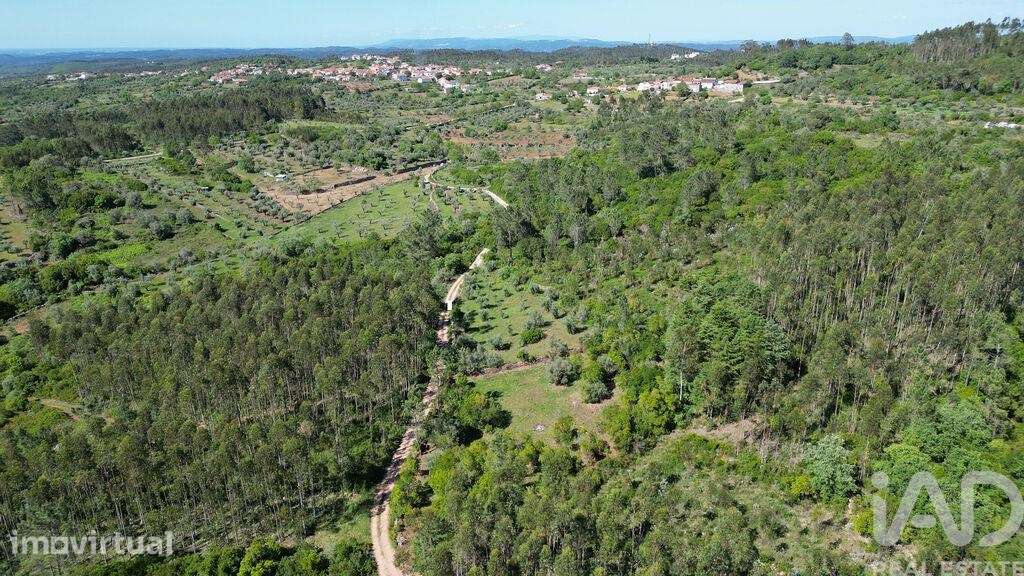 Terreno Agrícola em Alvorge - Grande imagem: 2/20
