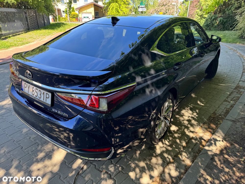 Lexus ES 300h Omotenashi - 3