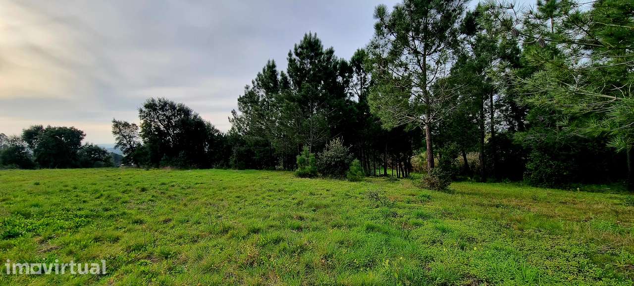 Apresento terreno com total de 5 520m2, localizado na Lapa, Cartaxo - Grande imagem: 5/19
