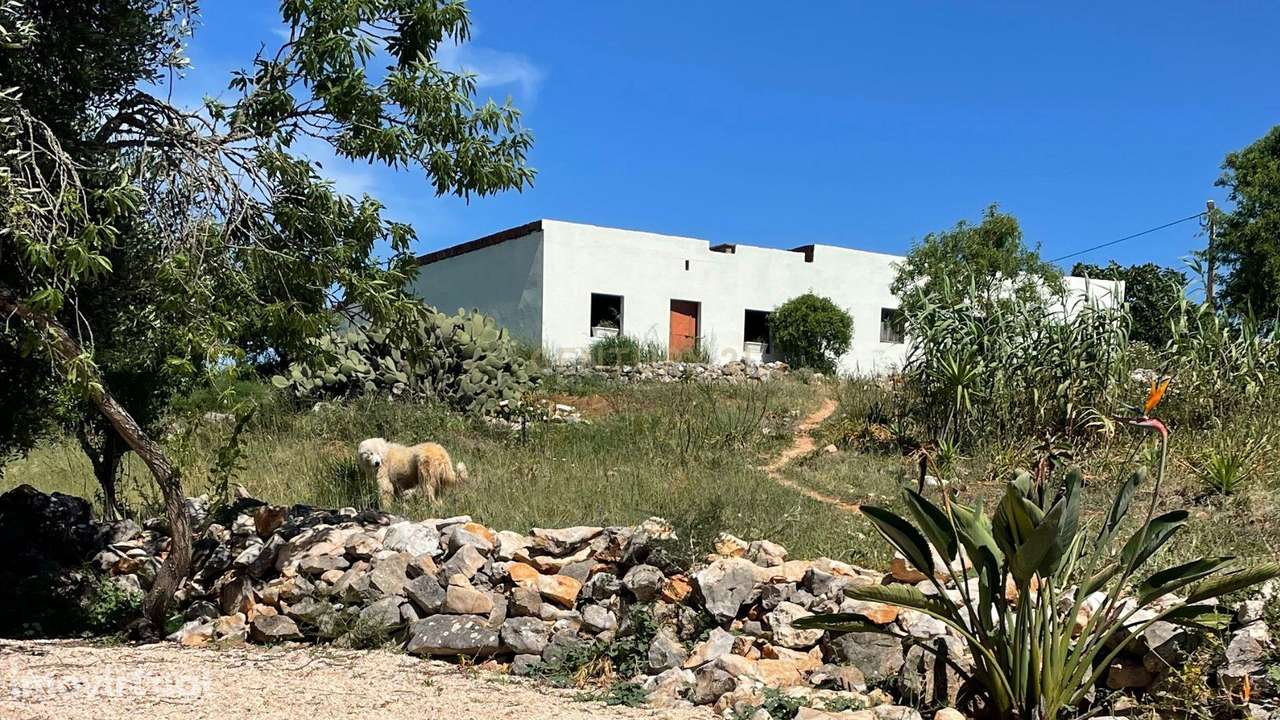 Quinta tradicional com vista deslumbrante e possibilidades para touris - Grande imagem: 4/26