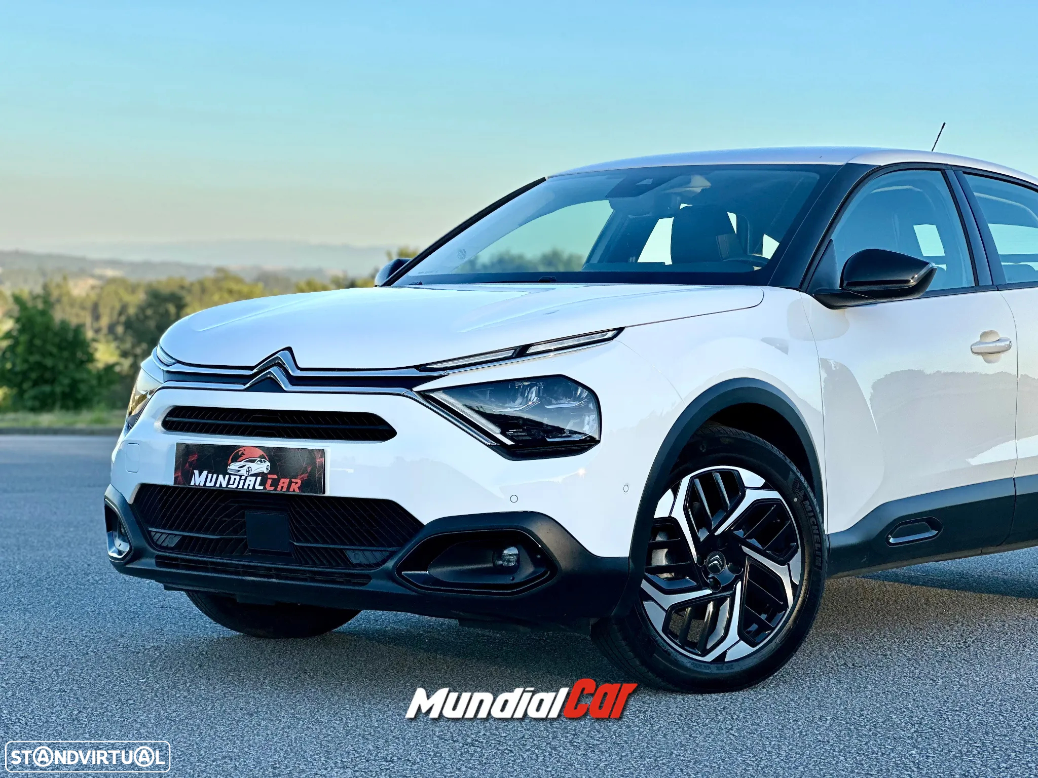 Citroën C4 BlueHDi 130 Stop&Start EAT8 FEEL PACK - 17
