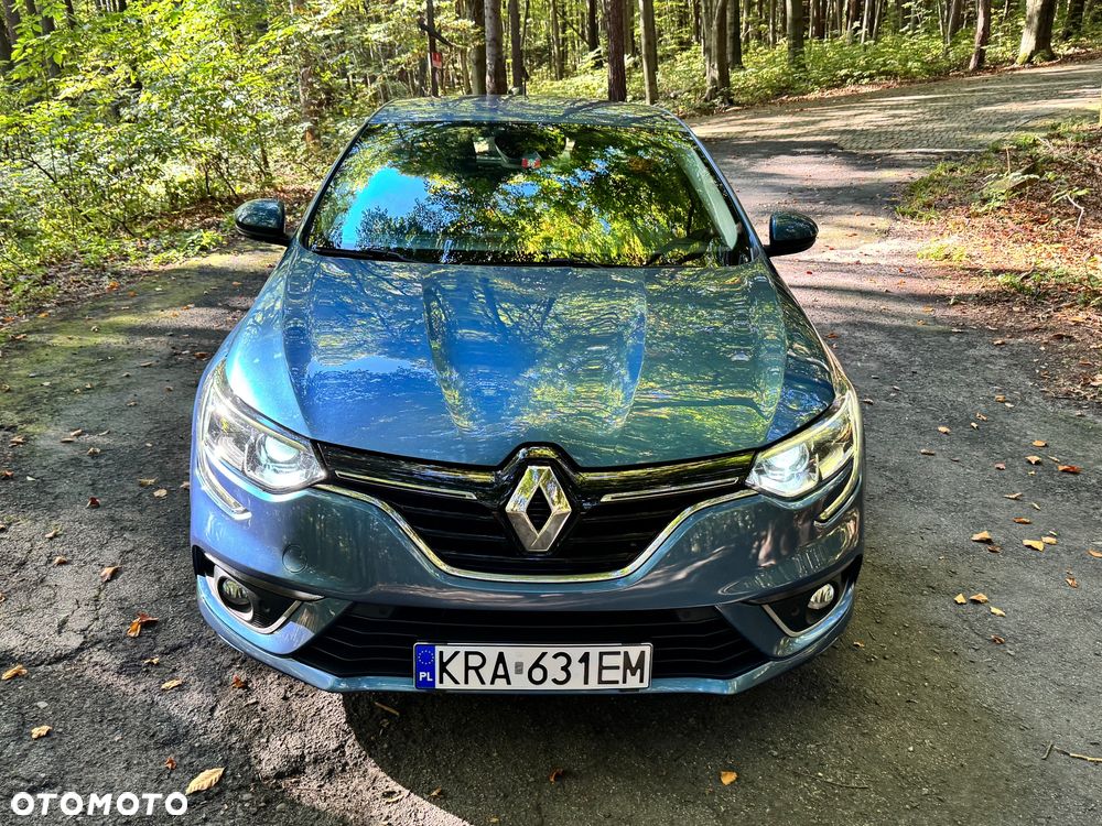 Renault Megane - 29