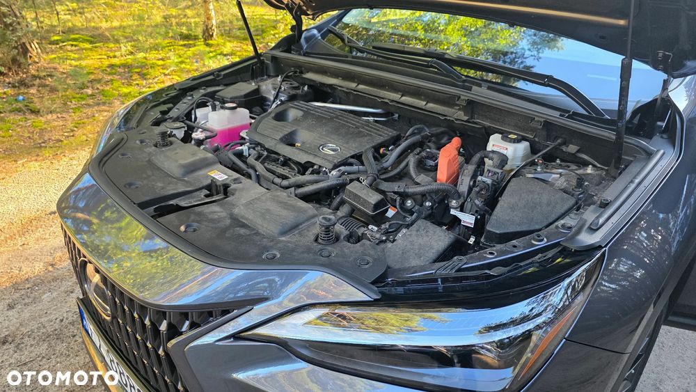Lexus NX 350h Omotenashi AWD - 17