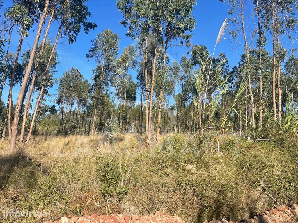 Terreno para construção, Valado dos frades - Grande imagem: 2/2