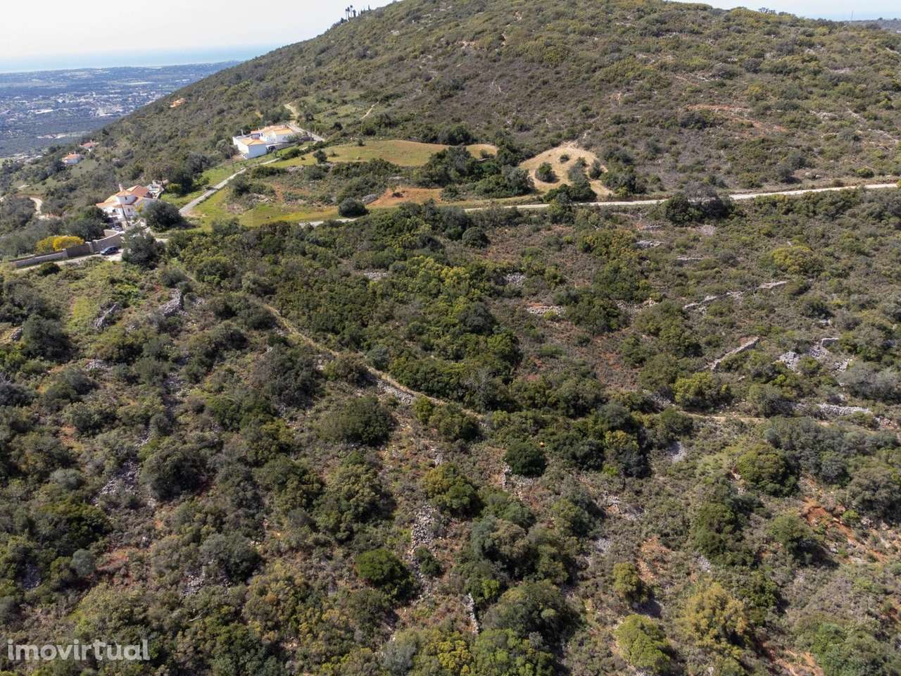 Terreno Rústico, Gorjões, Santa Bárbara de Nexe - Grande imagem: 3/16