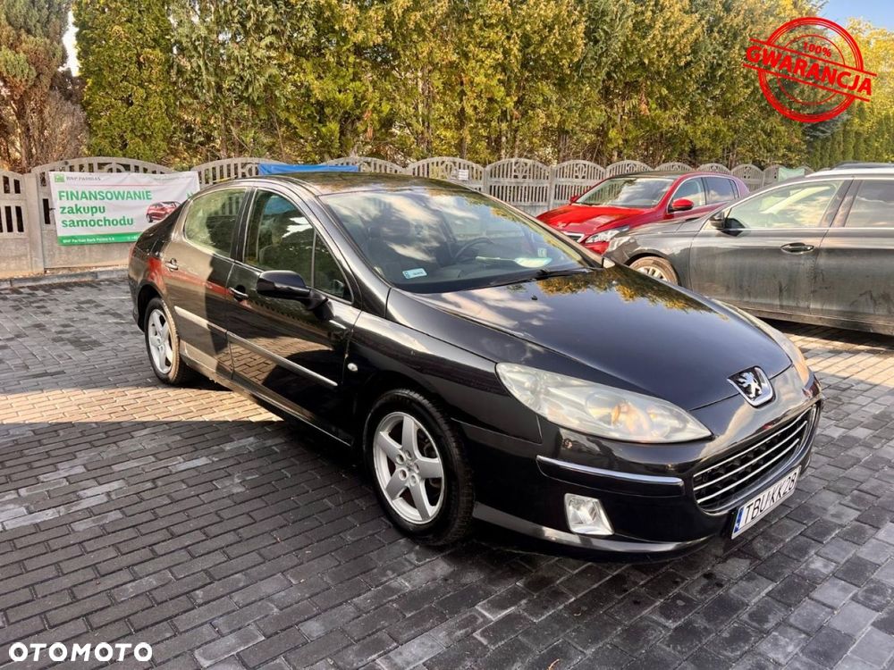 Peugeot 407 - 14