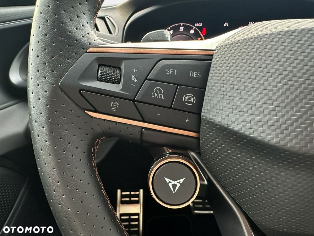 Cupra Terramar - 11