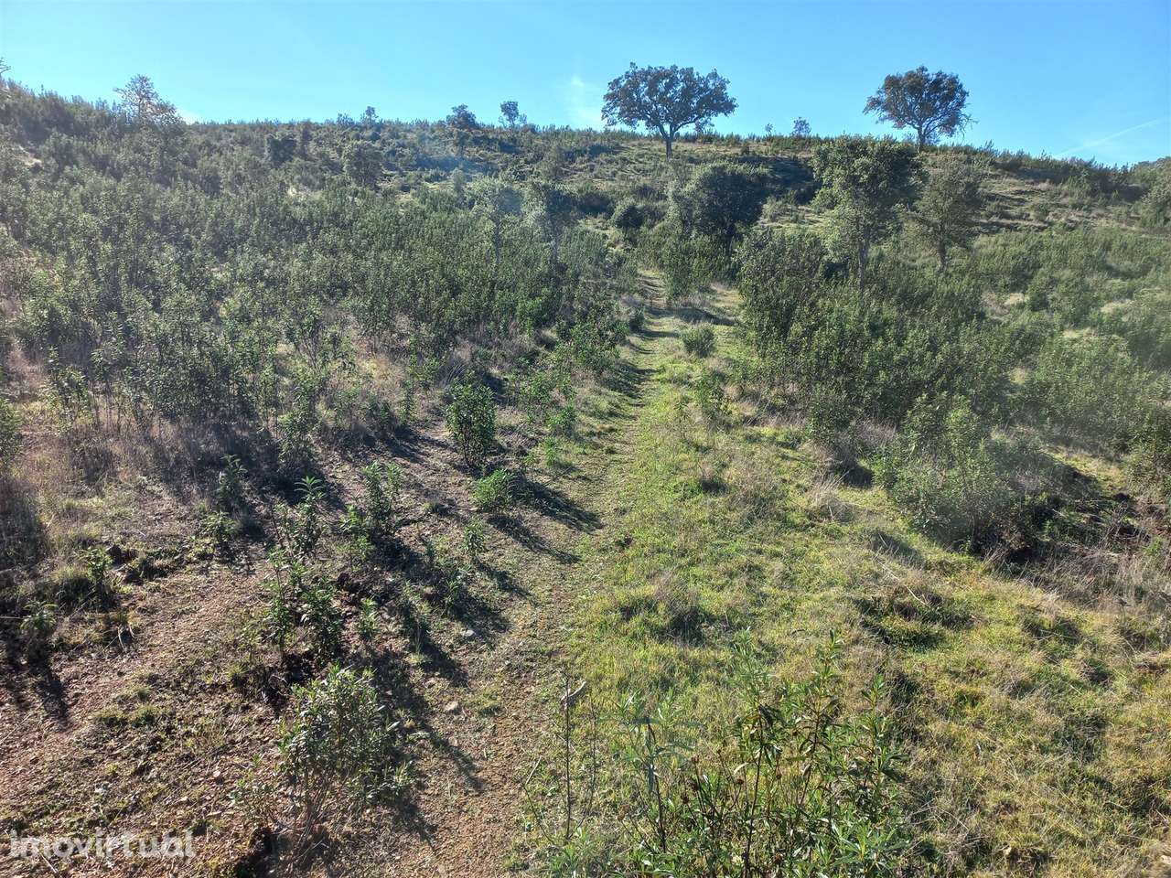 Terreno Rústico  Venda em Santa Clara-a-Nova e Gomes Aires,Almodôvar - Grande imagem: 3/16