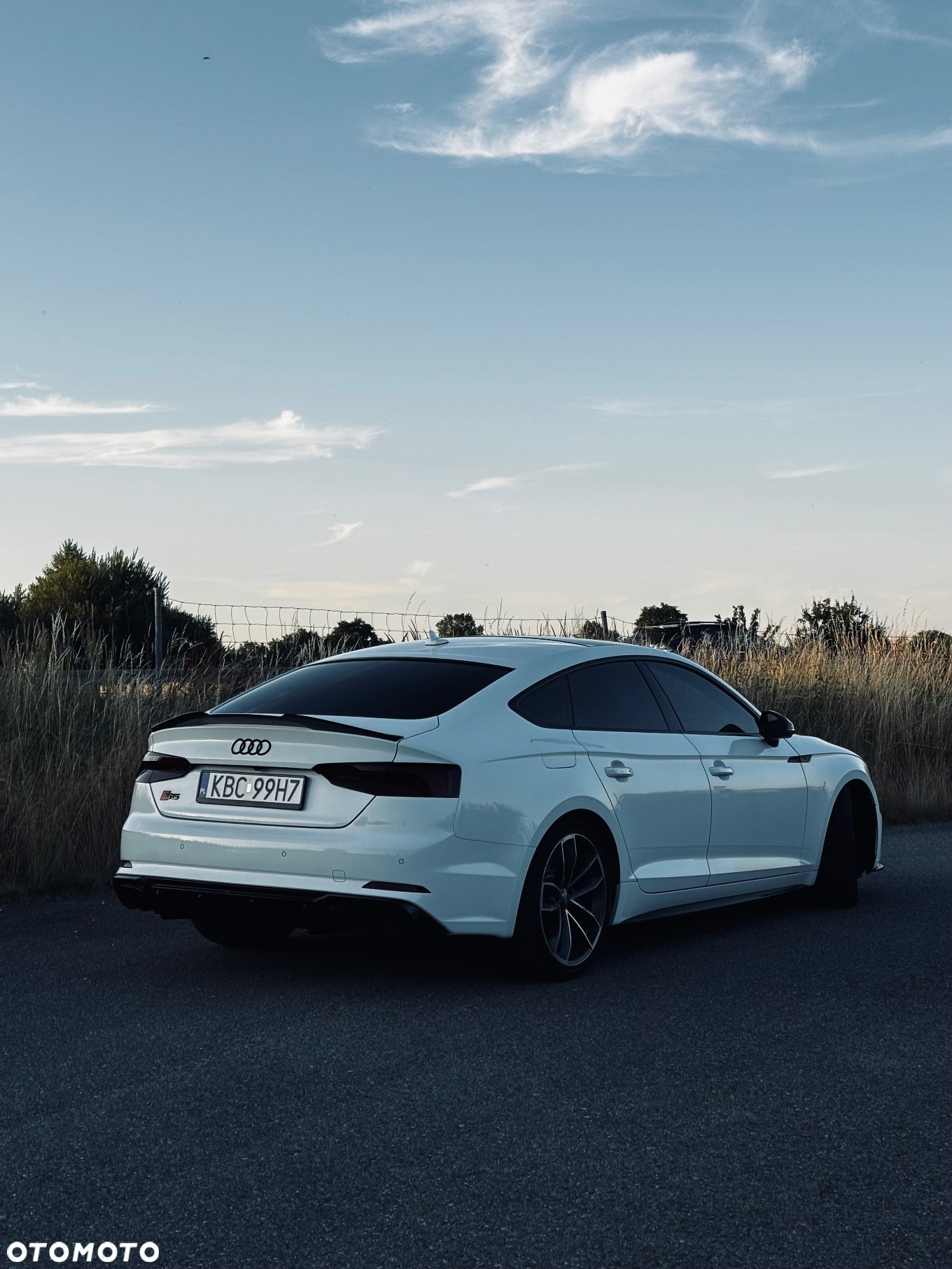 Audi S5 3.0 TFSI Quattro Tiptronic - 17