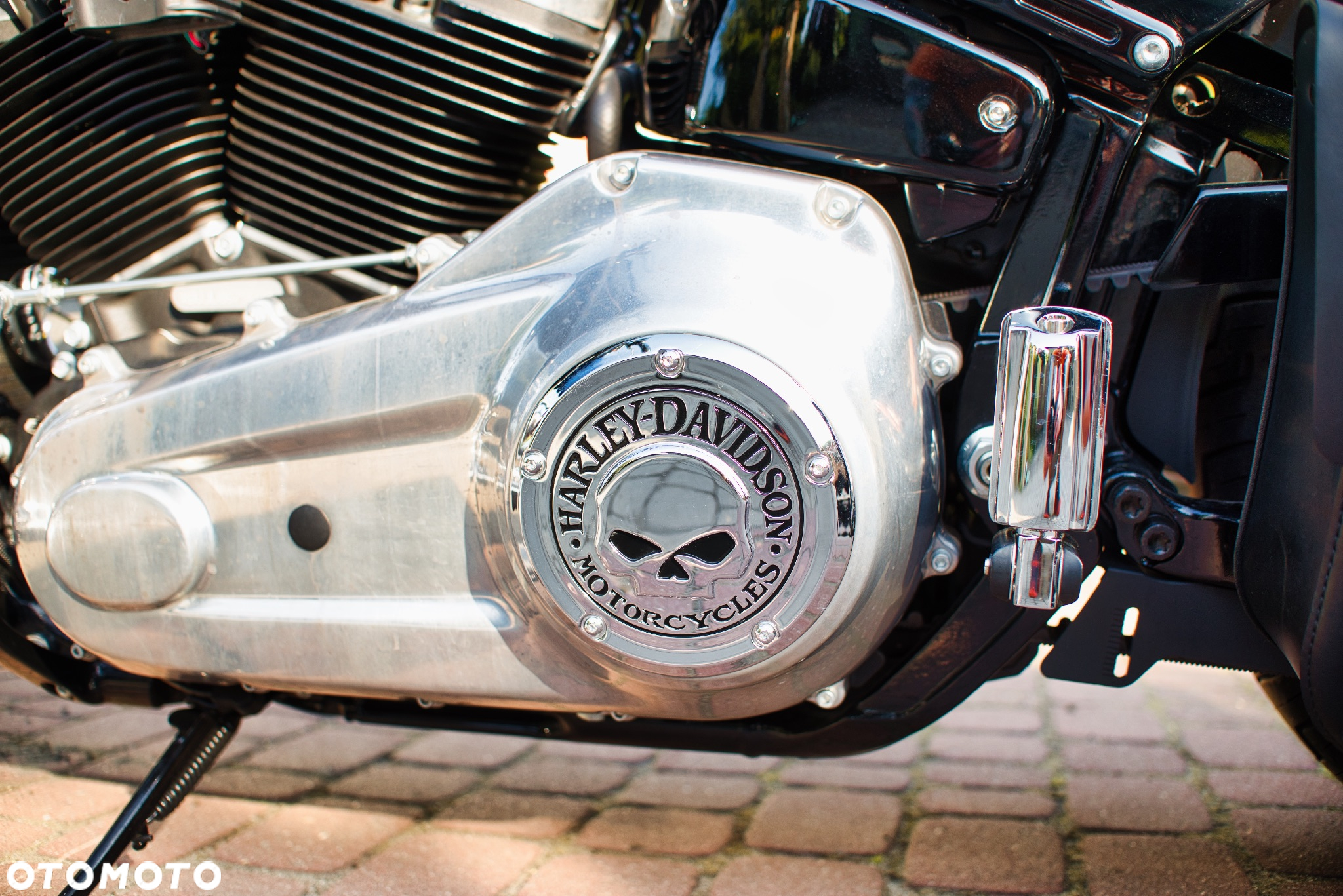 Harley-Davidson Softail Standard - 11