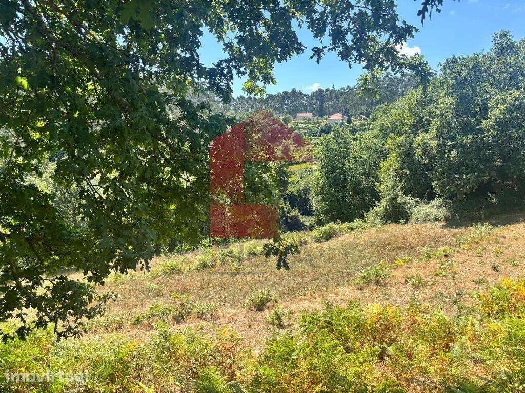 Terreno agrícola, Godinhaços - Grande imagem: 4/24