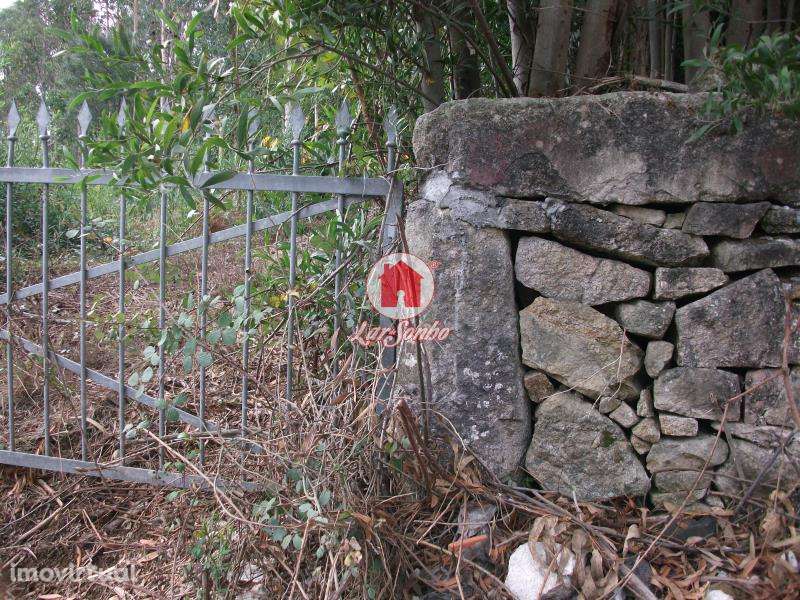 Terreno Florestal de 9.900m2 em Canidelo Vila do Conde - Grande imagem: 3/5
