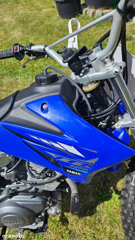 Yamaha TTR - 12
