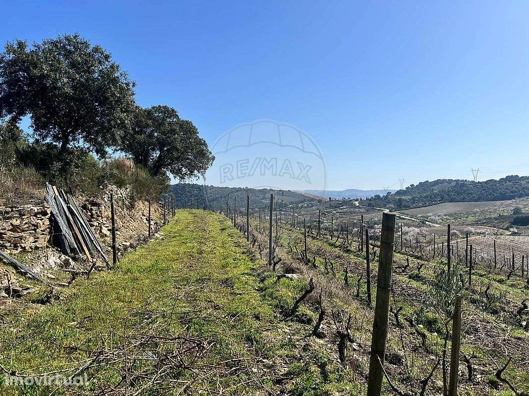 Terreno  para venda - Grande imagem: 3/19