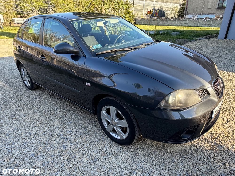 Seat Ibiza - 25