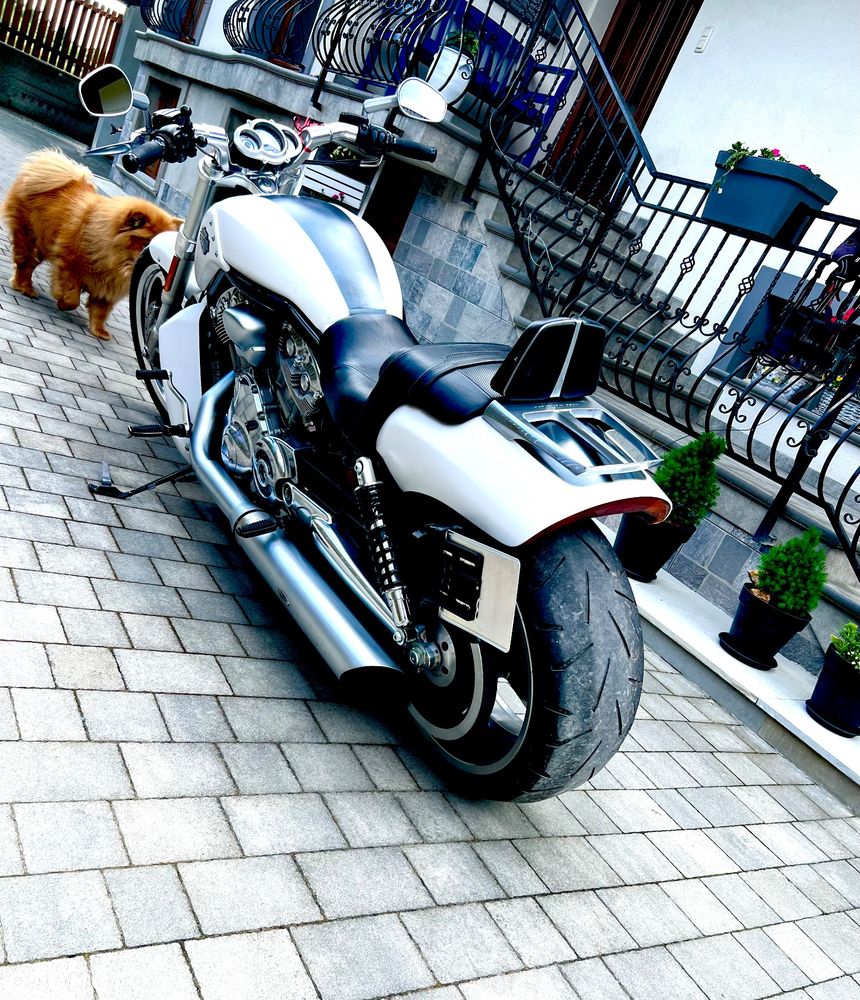 Harley-Davidson V-Rod Muscle - 9