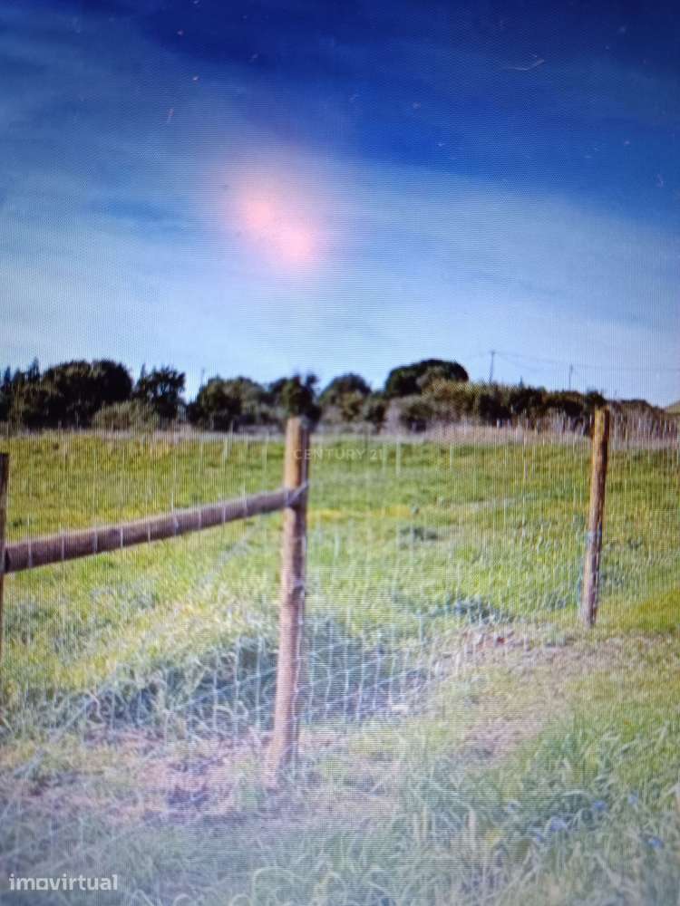 Terreno Rustico com 5010m2 em Casal de Palhais - Grande imagem: 4/4