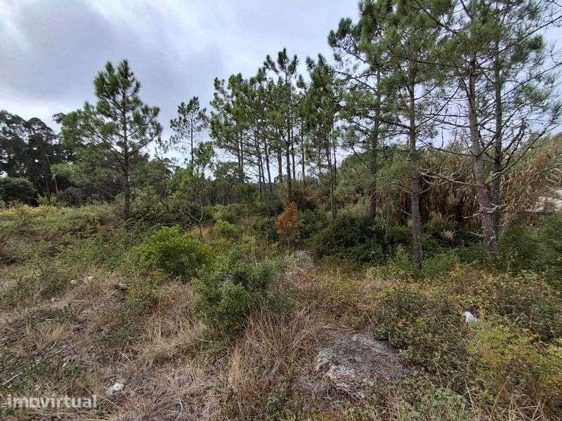 Terreno na Figueira da Foz - Grande imagem: 3/3