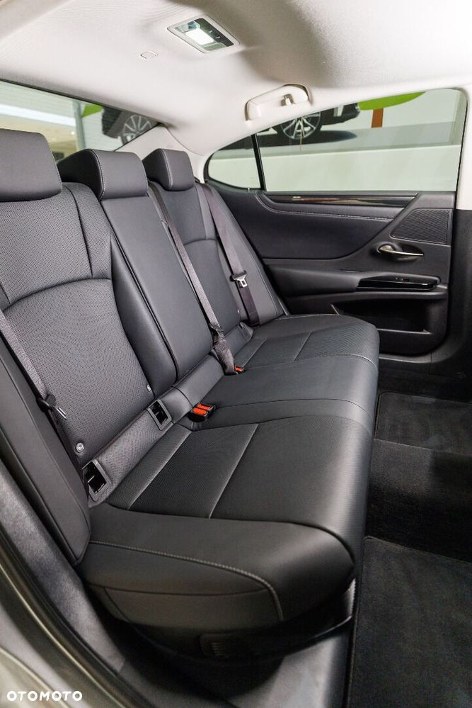 Lexus ES 300h F Sport Design - 17