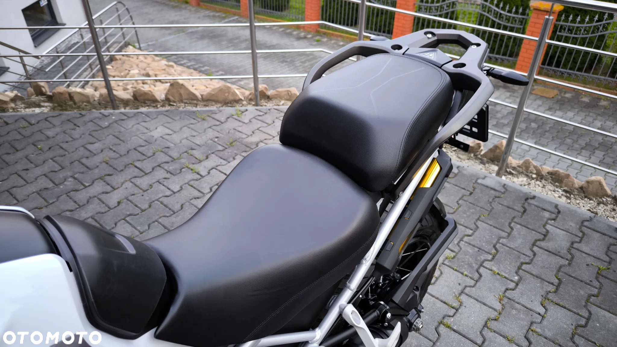 Triumph Tiger - 19